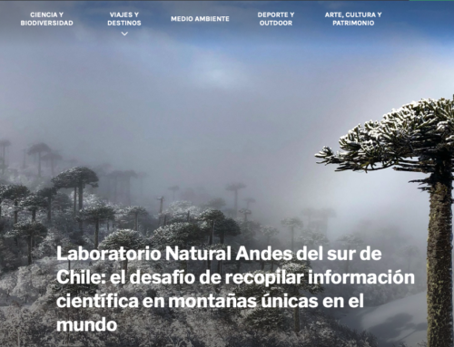 Reportaje Laboratorio Natural Andes del sur de Chile: el desafío de recopilar información científica en montañas únicas en el mundo