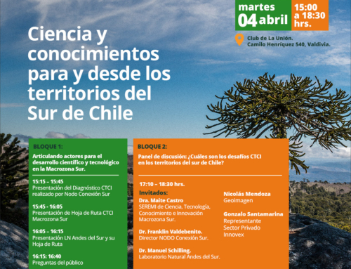 Seminario Andes del Sur + Conexión Sur