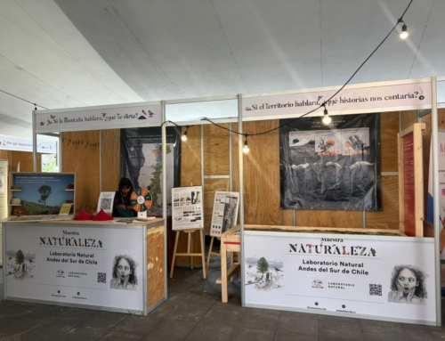 Participación en “Territorios con Memoria” abrió diálogos sobre las montañas y su futuro en Villarrica