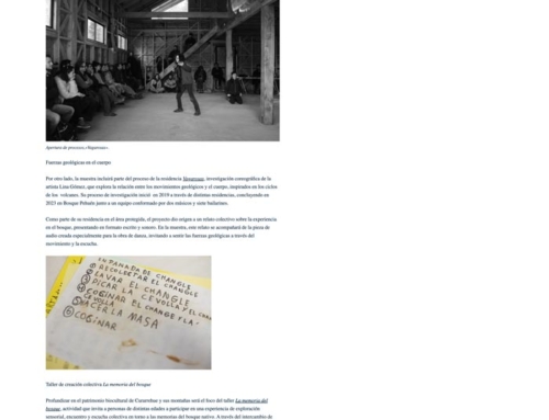 La montaña se abre en Curarrehue: una exhibición que conecta arte, ciencia y territorio