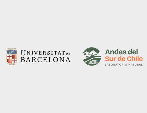 Laboratorio Natural Andes del Sur y Universidad de Barcelona exploran colaboración académica en formación sobre territorios de montaña