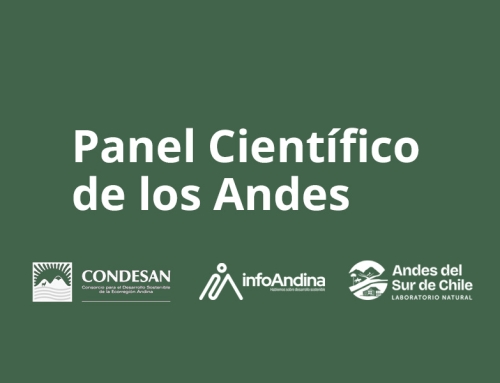 Panel Científico de los Andes avanza en la construcción de una síntesis científica sobre los territorios andinos